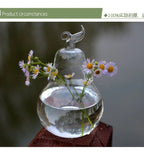 Vidro De Vaso De Pêra Terrário Flores Vasos De Decora