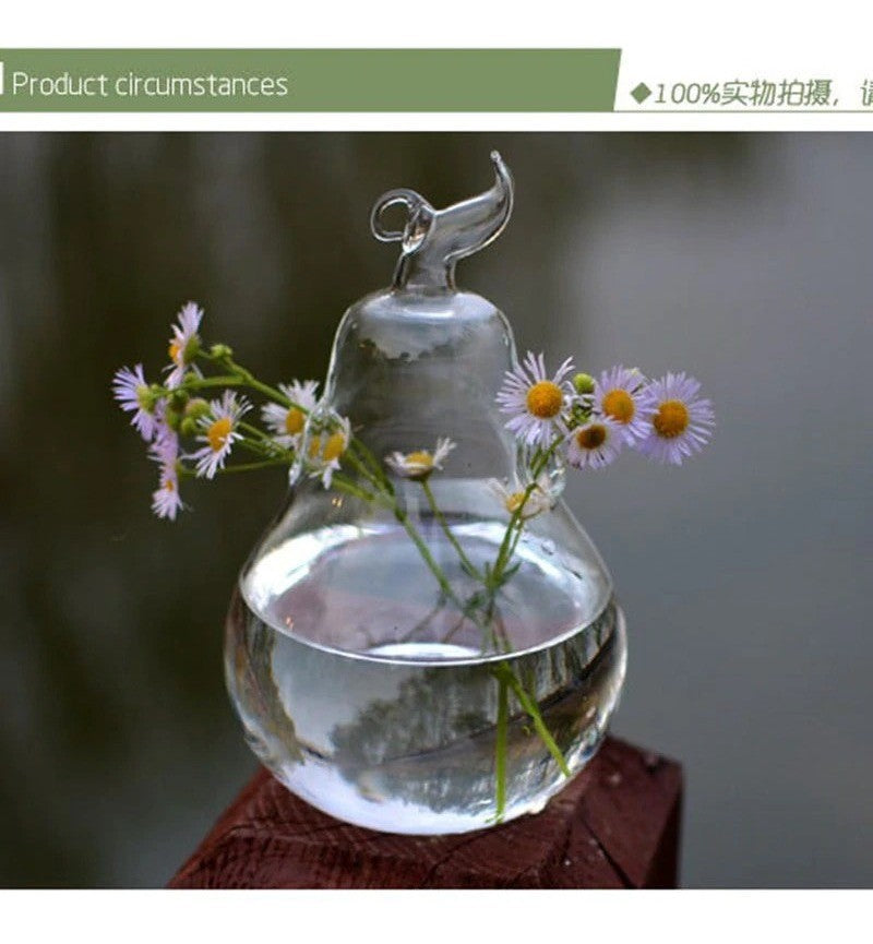 Vidro De Vaso De Pêra Terrário Flores Vasos De Decora